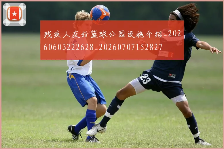残疾人友好篮球公园设施介绍_20260603222628_20260707152827
