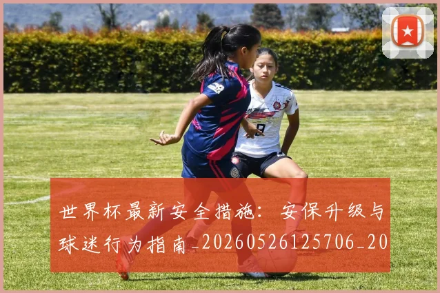世界杯最新安全措施：安保升级与球迷行为指南_20260526125706_20260702174451