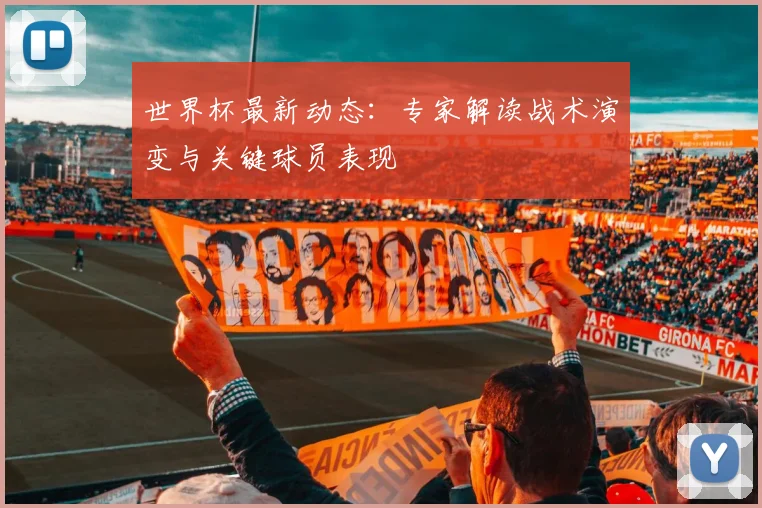世界杯最新动态：专家解读战术演变与关键球员表现